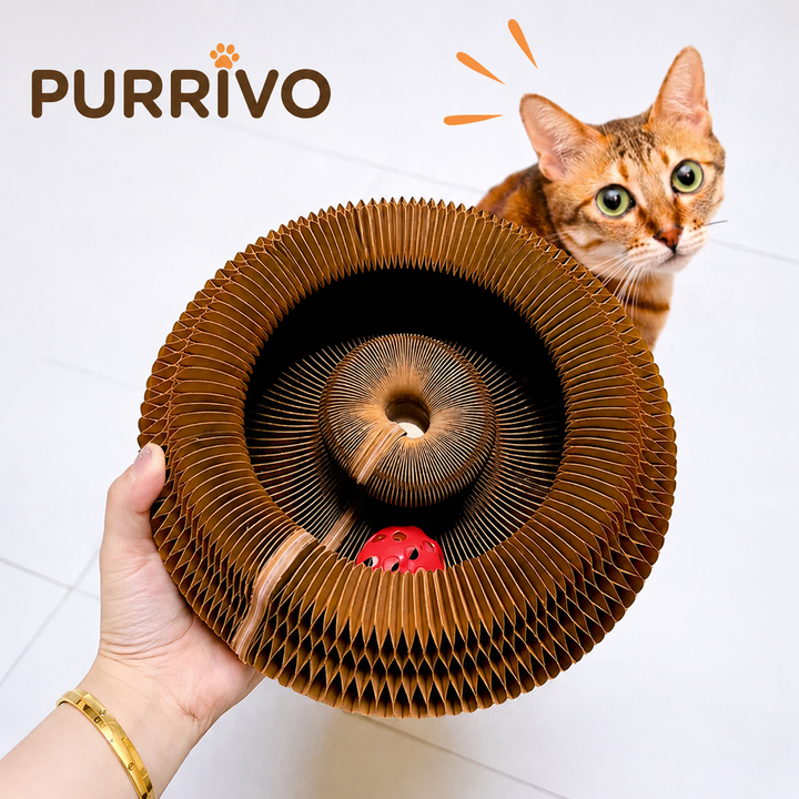 PURRIVO Interactief Krabspelletje voor Katten