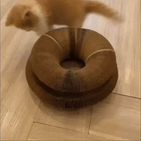 PURRIVO Interactief Krabspelletje voor Katten