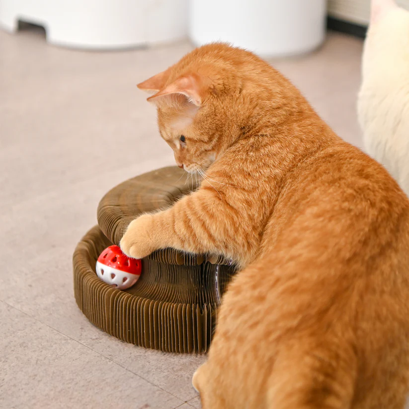 PURRIVO Interactief Krabspelletje voor Katten